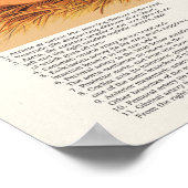 Poster van Chicken Hen Anatomy (Hoek)