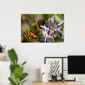 Poster van de Amerikaanse Lady Butterfly Wild Hyac (Thuiskantoor)
