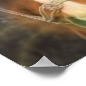 Poster van de Arabische kastanjeboom afdrukken (Hoek)