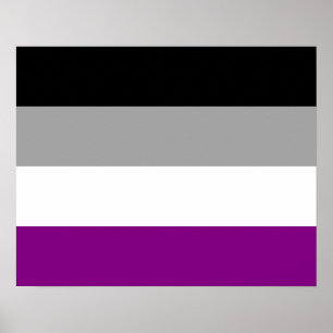 Poster van de asexualiteitvlag