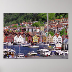 Poster van de bergachtige Marina