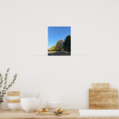 Poster van de boomrij (Keuken)