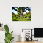 Poster van de Cedar-of-Libanon-boom (Thuiskantoor)