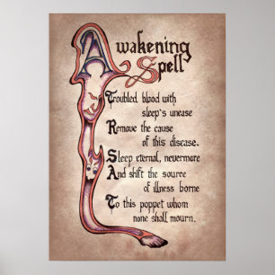 poster van de coole heksenpartij