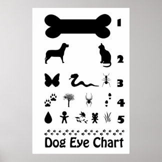 Poster van de Dog Eye Chart
