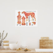 Poster van de Dog Musculair Anatomie (Keuken)