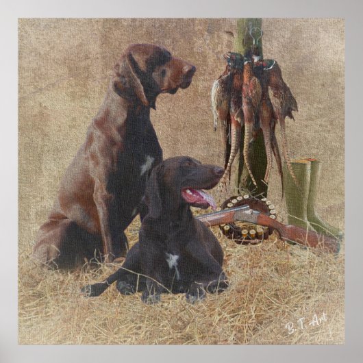 Poster van de Duitse Shorthaired Pointers (SAP) (Voorkant)