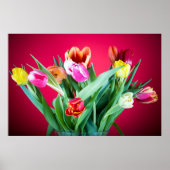 Poster van de florale florale tulp van Springtime  (Voorkant)
