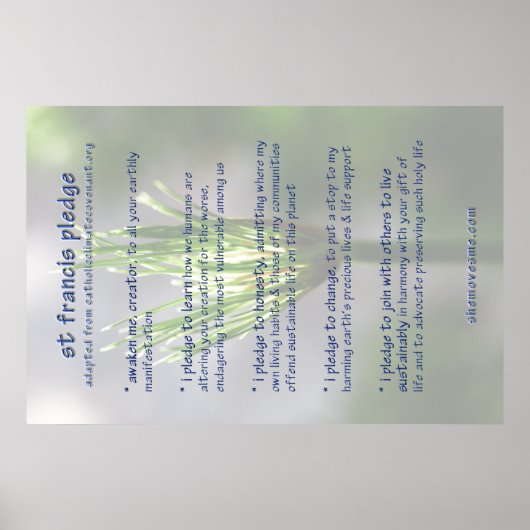 poster van de frankis ( herzien ) (Voorkant)