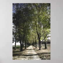 poster van de gele bosbouw