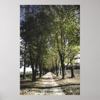 poster van de gele bosbouw