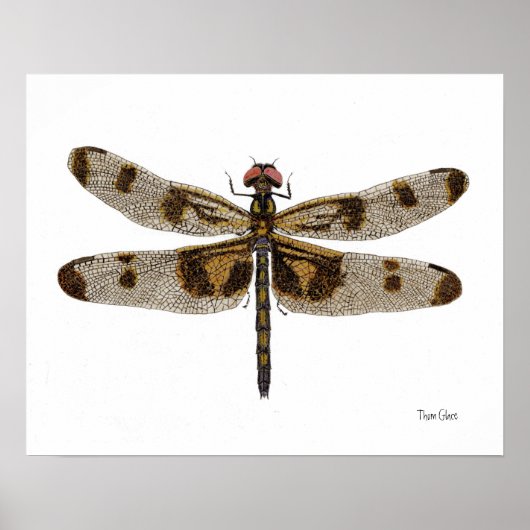 Poster van de gepantserde Pennant Dragonfly Art (Voorkant)