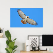 Poster van de gevlekte Hawk met Rode Tailed (Thuiskantoor)