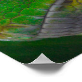 Poster van de groene-boomPython (B) (Hoek)