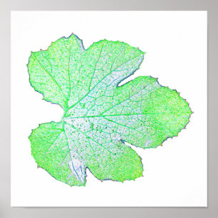 Poster van de Groene Squash Leaf Minimalism Square
