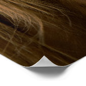 poster van de horsey (Hoek)