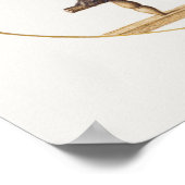 Poster van de Illustratie van de Owl (Hoek)