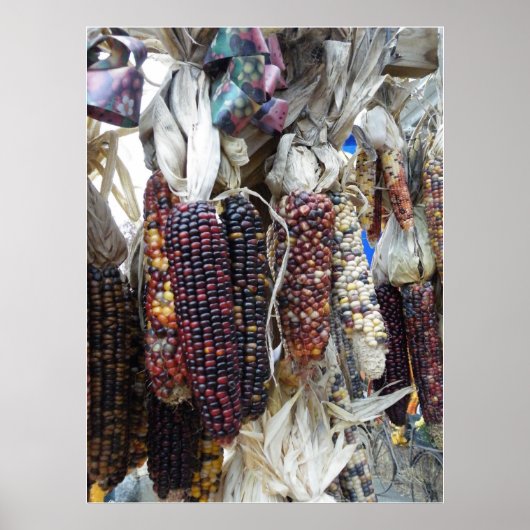 Poster van de Indische Corn (Voorkant)