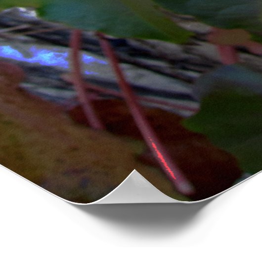 Poster van de Kleuren van de val - Huge (Hoek)