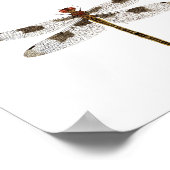 Poster van de kunstsoort Dragonfly (Hoek)