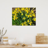 Poster van de lente-gele deffodils (Keuken)