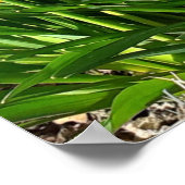 Poster van de lente-gele deffodils (Hoek)