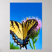 Poster van de Liefde