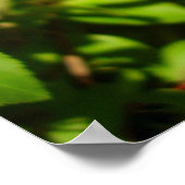 Poster van de luidop (Hoek)