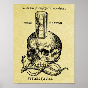 Poster van de middeleeuwse houtsnipper