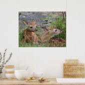 Poster van de Newborn Twin Bambis (Keuken)