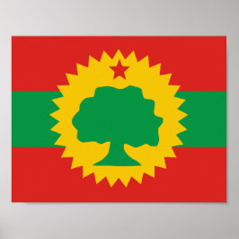 Poster van de Oromo-vlag