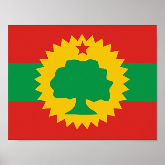 Poster van de Oromo-vlag (Voorkant)