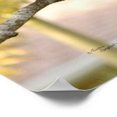 Poster van de prachtige rouwronde Doves (Hoek)