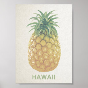 Poster van de  retro-ananas van Hawaii