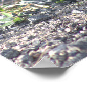 Poster van de Rode-vleugel (Hoek)