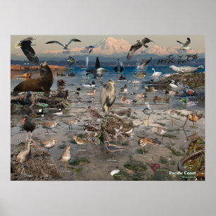 Poster van de Stille Oceaan