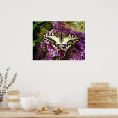 Poster van de swallowtail Butterfly (Keuken)
