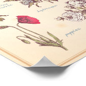 Poster van de tuinbloemen (Hoek)
