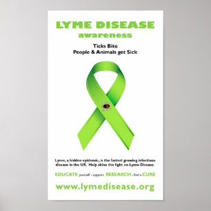 Poster van de ziekte van Lyme