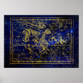 poster van delphinus constellation (Voorkant)