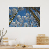 Poster van diepgevroren bos (Keuken)