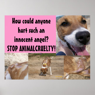 Poster van dierenmishandeling