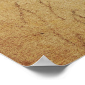 Poster Van Dyck - Étude Portrait (Coin)