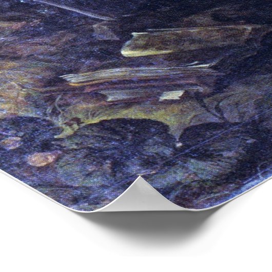 Poster Van Dyck - Saint Jerome (Coin)