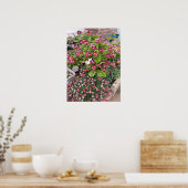 Poster van een prachtige rode pelargonium van een (Keuken)