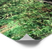 Poster van Elephants (Hoek)