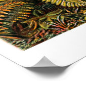 Poster van filicinae (boomfern) (Hoek)