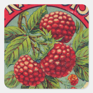  Poster van Franse vruchten Vierkante Sticker