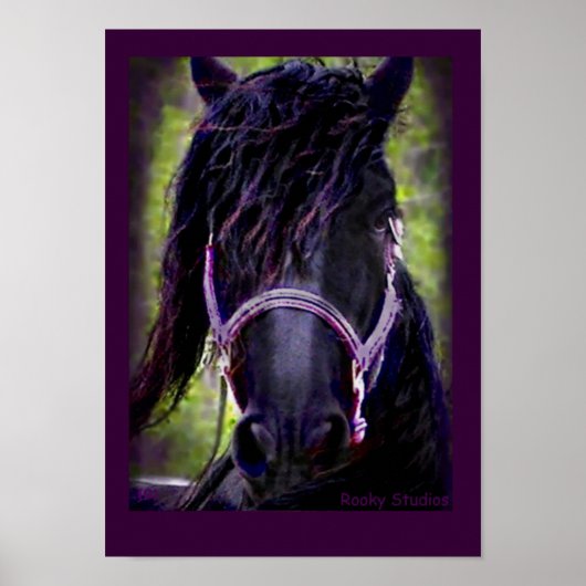 Poster van Friesian Horse (Voorkant)