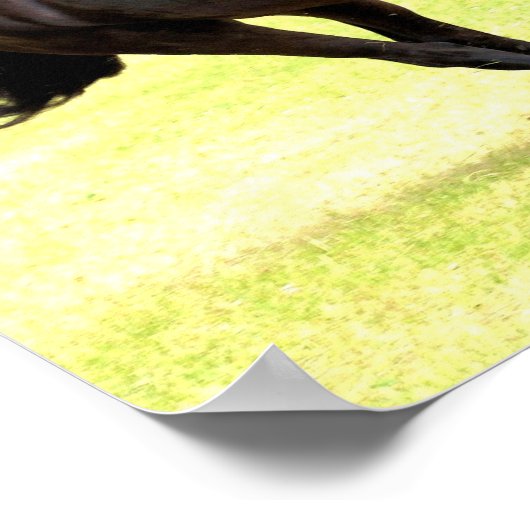 Poster van galoping (Hoek)